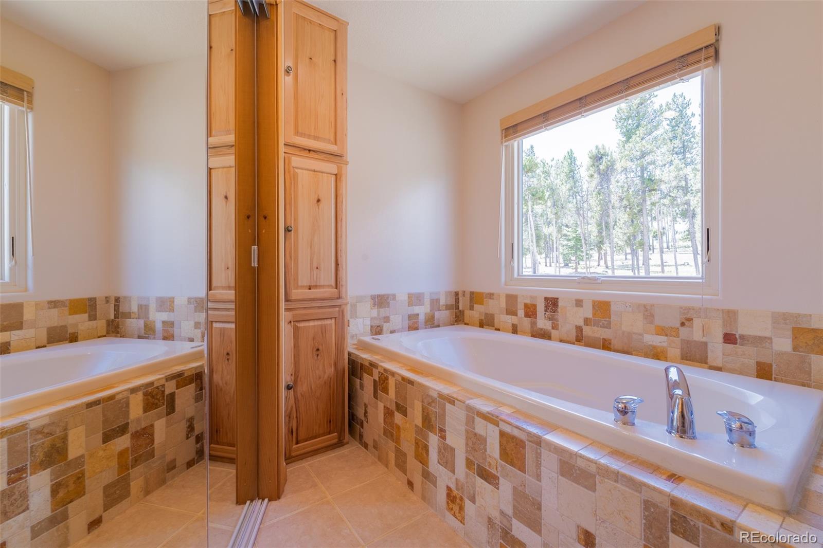 MLS Image #17 for 272  coil drive,fairplay, Colorado