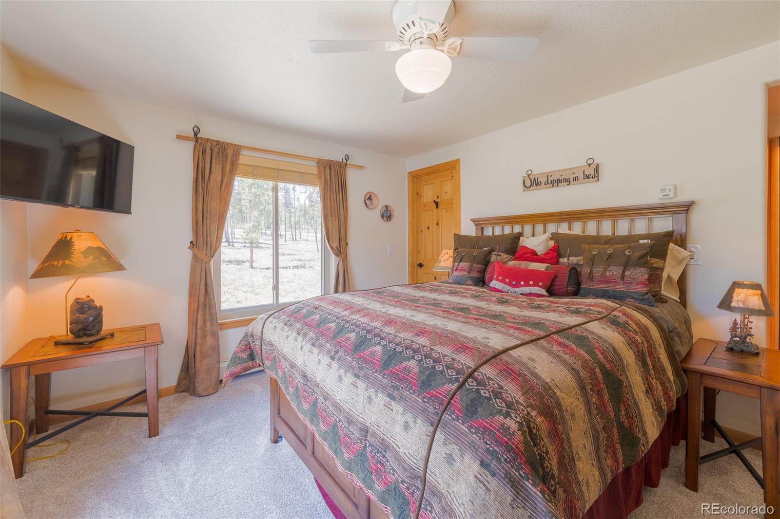 MLS Image #18 for 272  coil drive,fairplay, Colorado