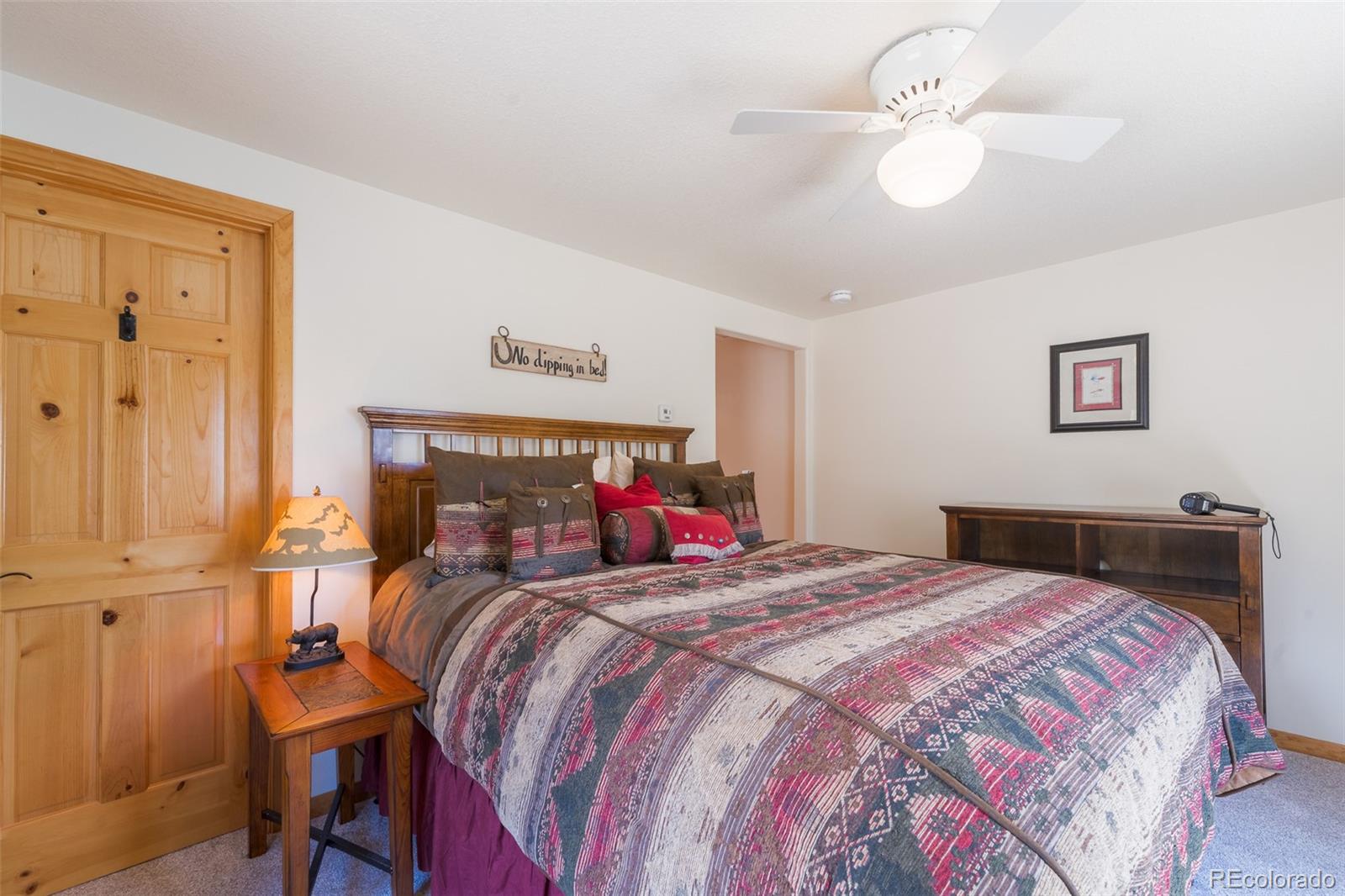 MLS Image #19 for 272  coil drive,fairplay, Colorado