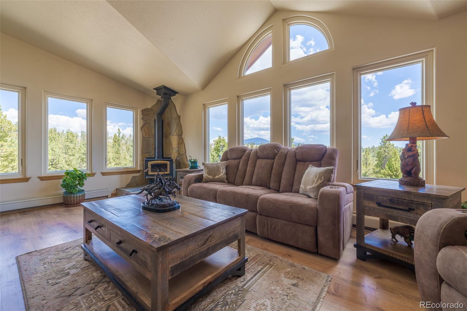 MLS Image #2 for 272  coil drive,fairplay, Colorado