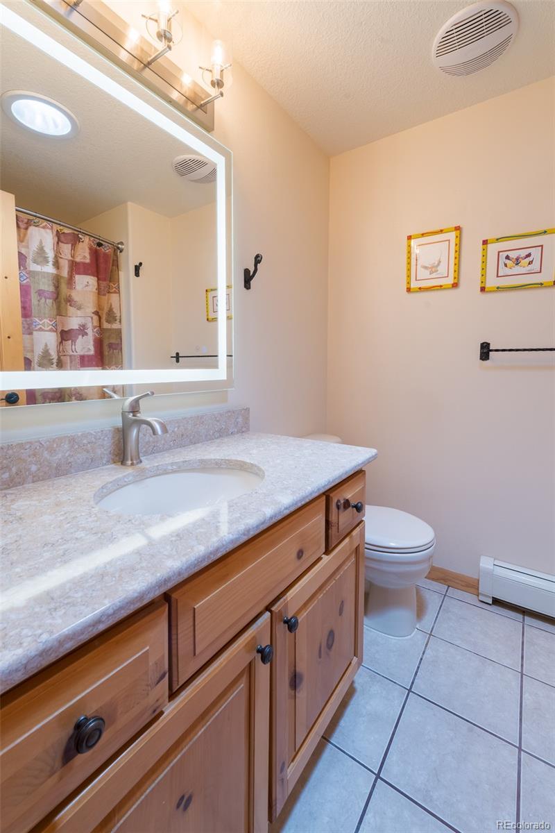 MLS Image #20 for 272  coil drive,fairplay, Colorado