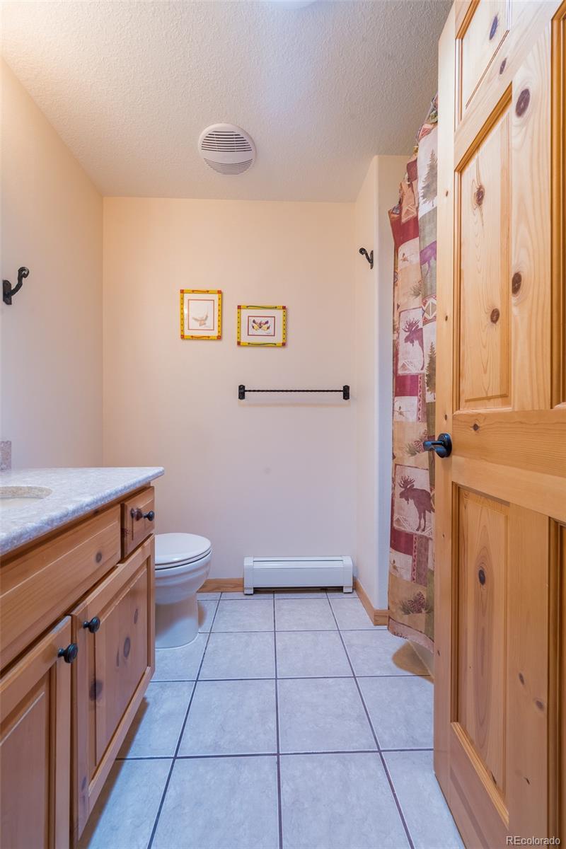 MLS Image #21 for 272  coil drive,fairplay, Colorado