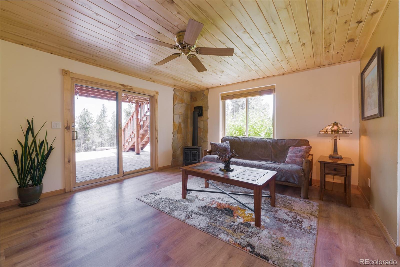MLS Image #23 for 272  coil drive,fairplay, Colorado