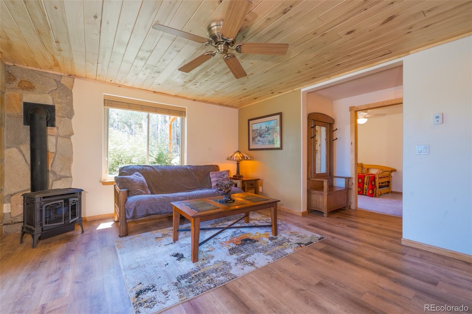 MLS Image #24 for 272  coil drive,fairplay, Colorado