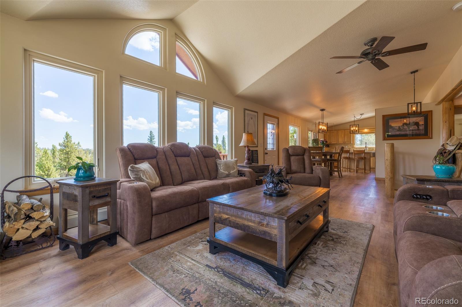 MLS Image #6 for 272  coil drive,fairplay, Colorado