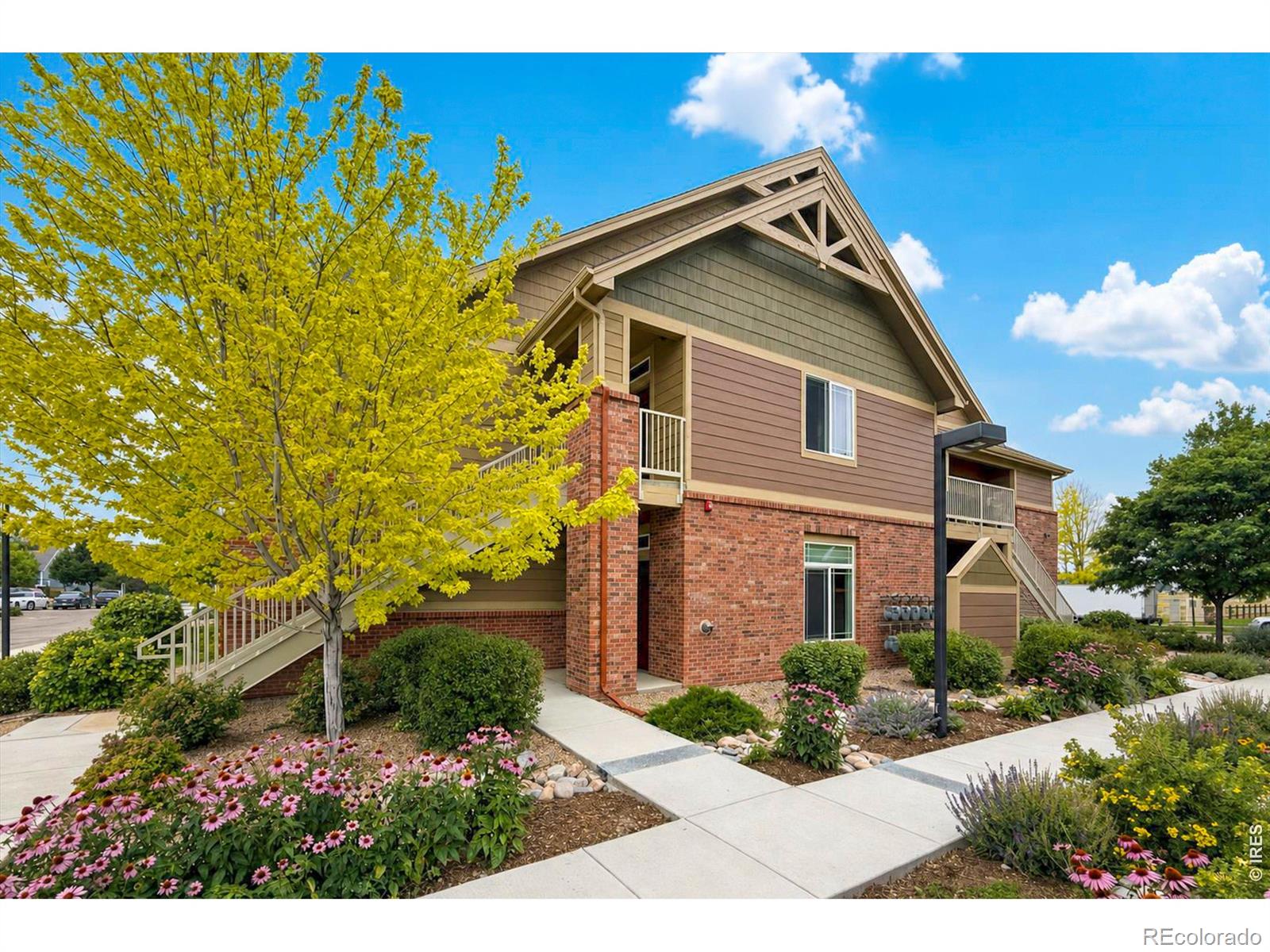MLS Image #0 for 804  summer hawk drive,longmont, Colorado