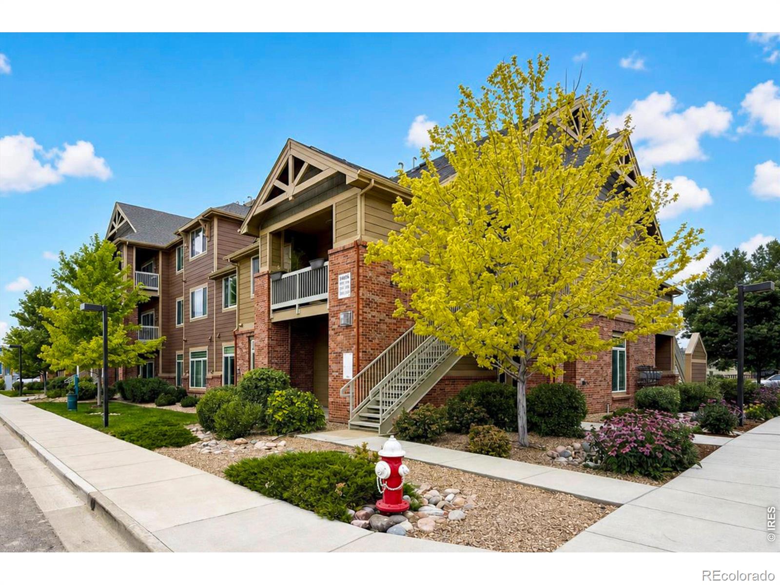 MLS Image #2 for 804  summer hawk drive,longmont, Colorado