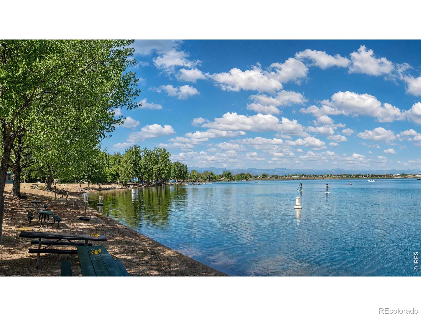 MLS Image #36 for 804  summer hawk drive,longmont, Colorado
