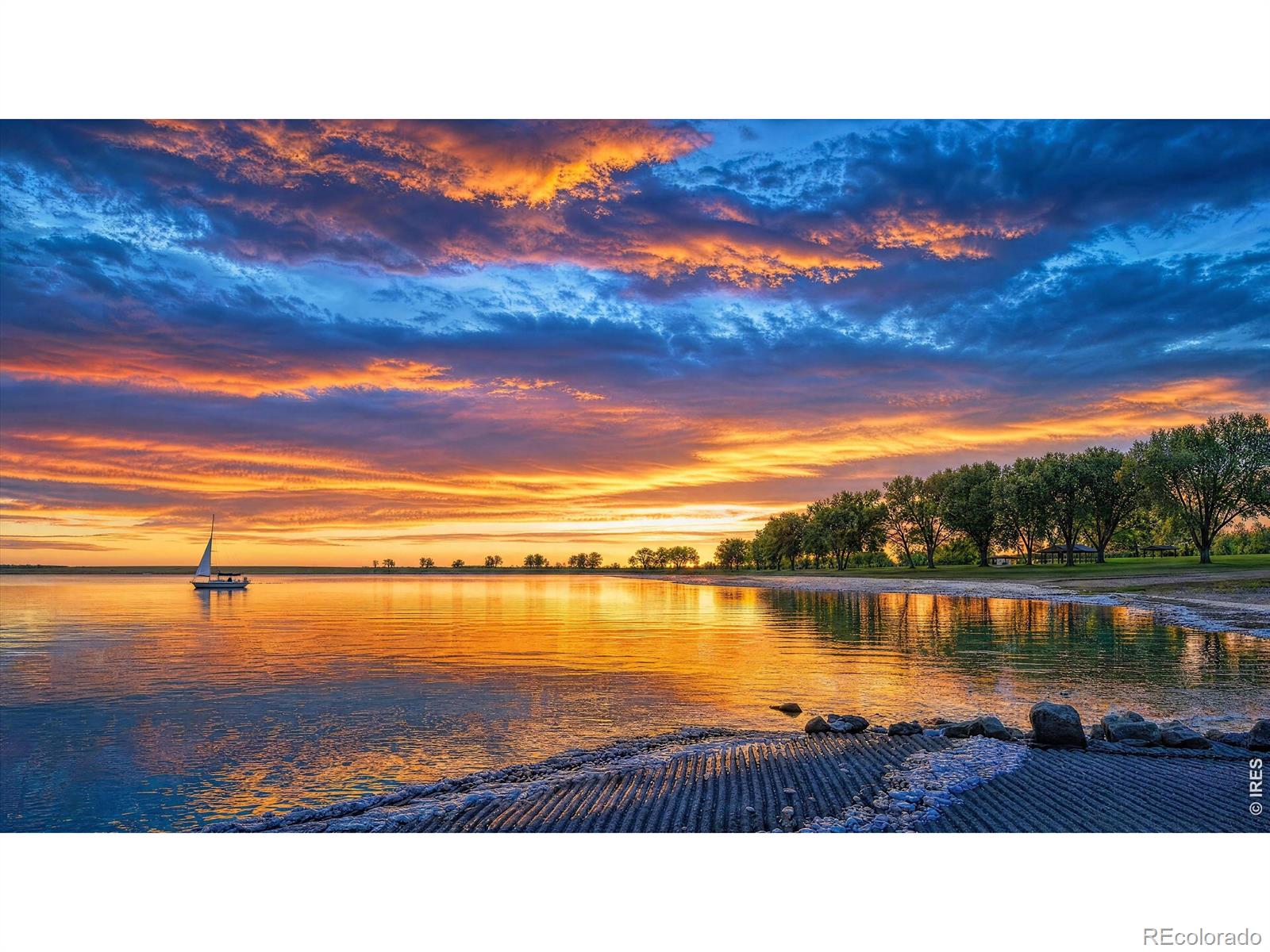 MLS Image #43 for 804  summer hawk drive,longmont, Colorado