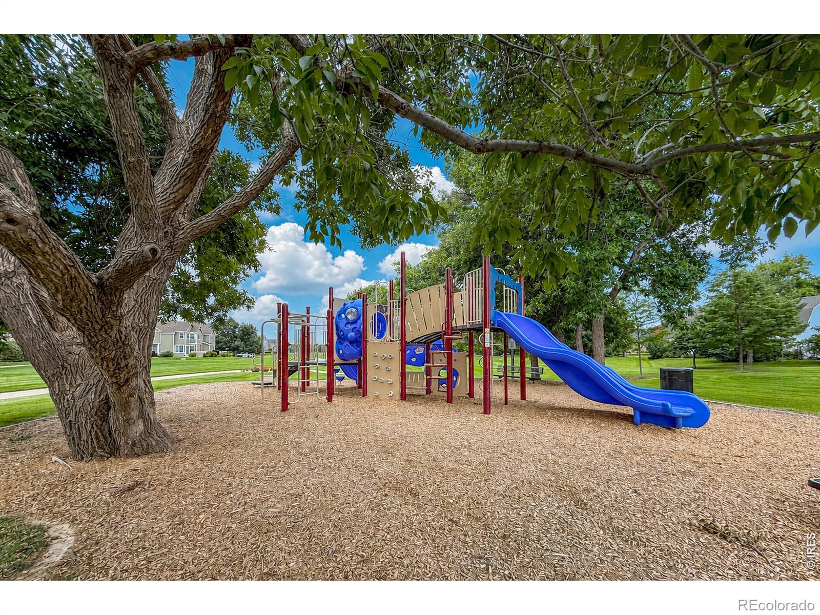 MLS Image #44 for 804  summer hawk drive,longmont, Colorado