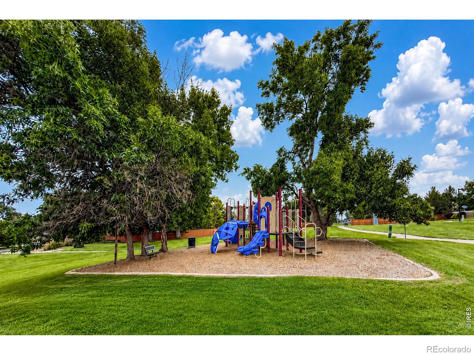 MLS Image #45 for 804  summer hawk drive,longmont, Colorado