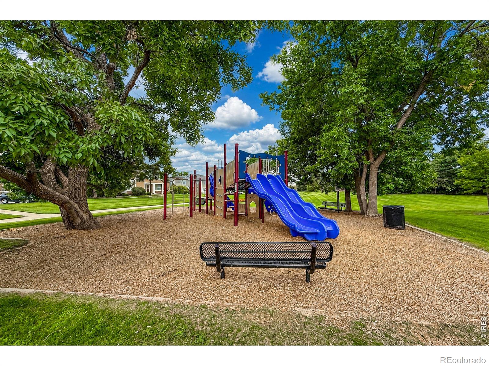 MLS Image #46 for 804  summer hawk drive,longmont, Colorado