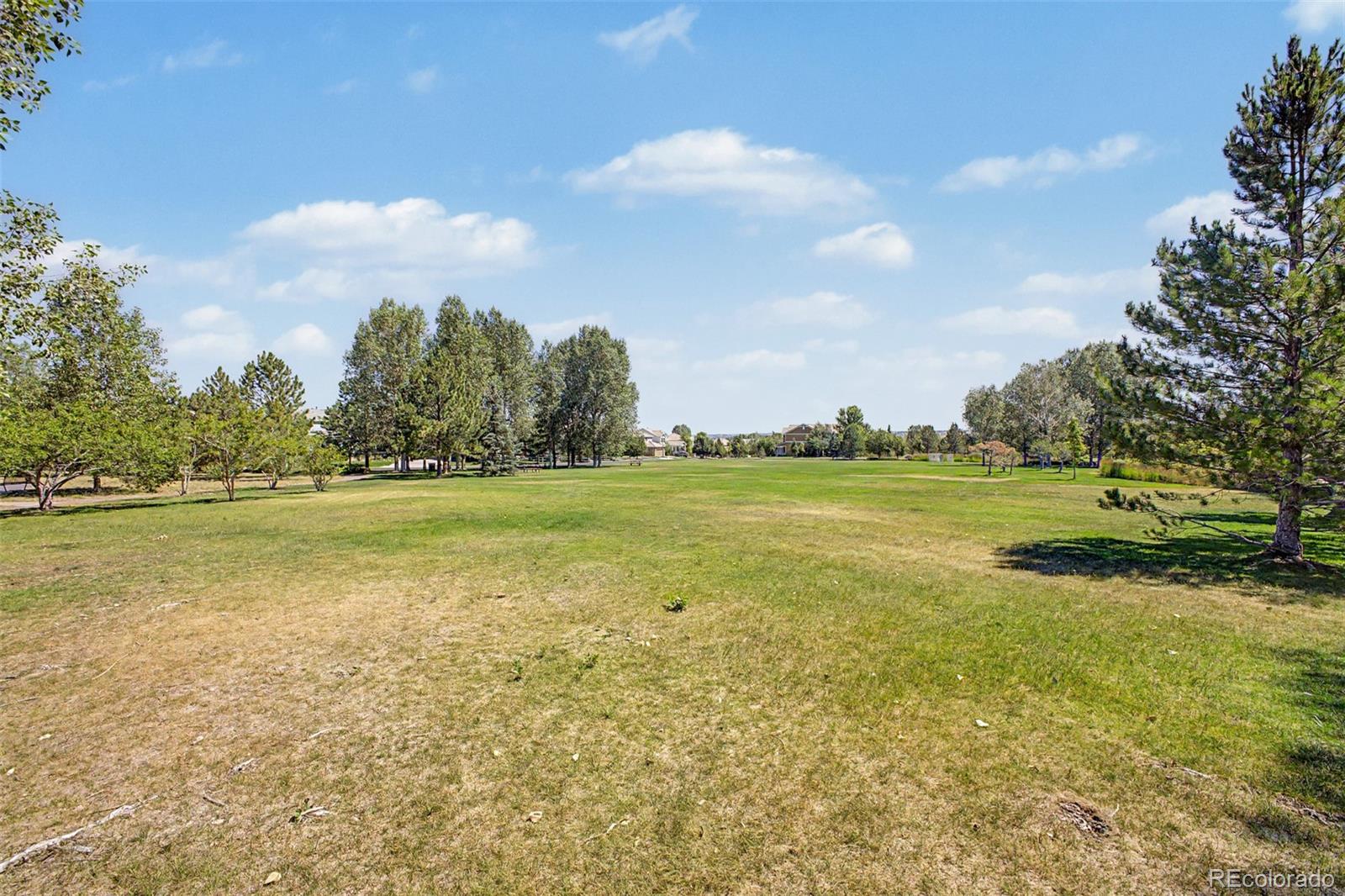 MLS Image #38 for 18249 e saskatoon place,parker, Colorado