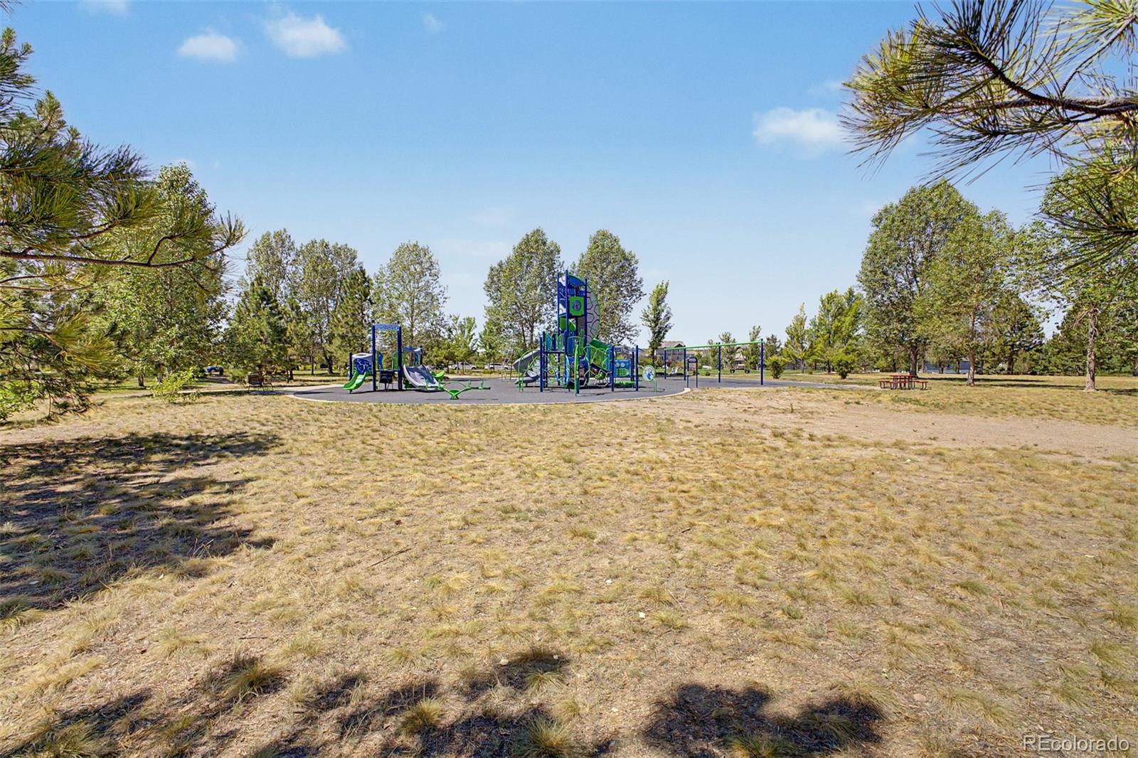 MLS Image #40 for 18249 e saskatoon place,parker, Colorado