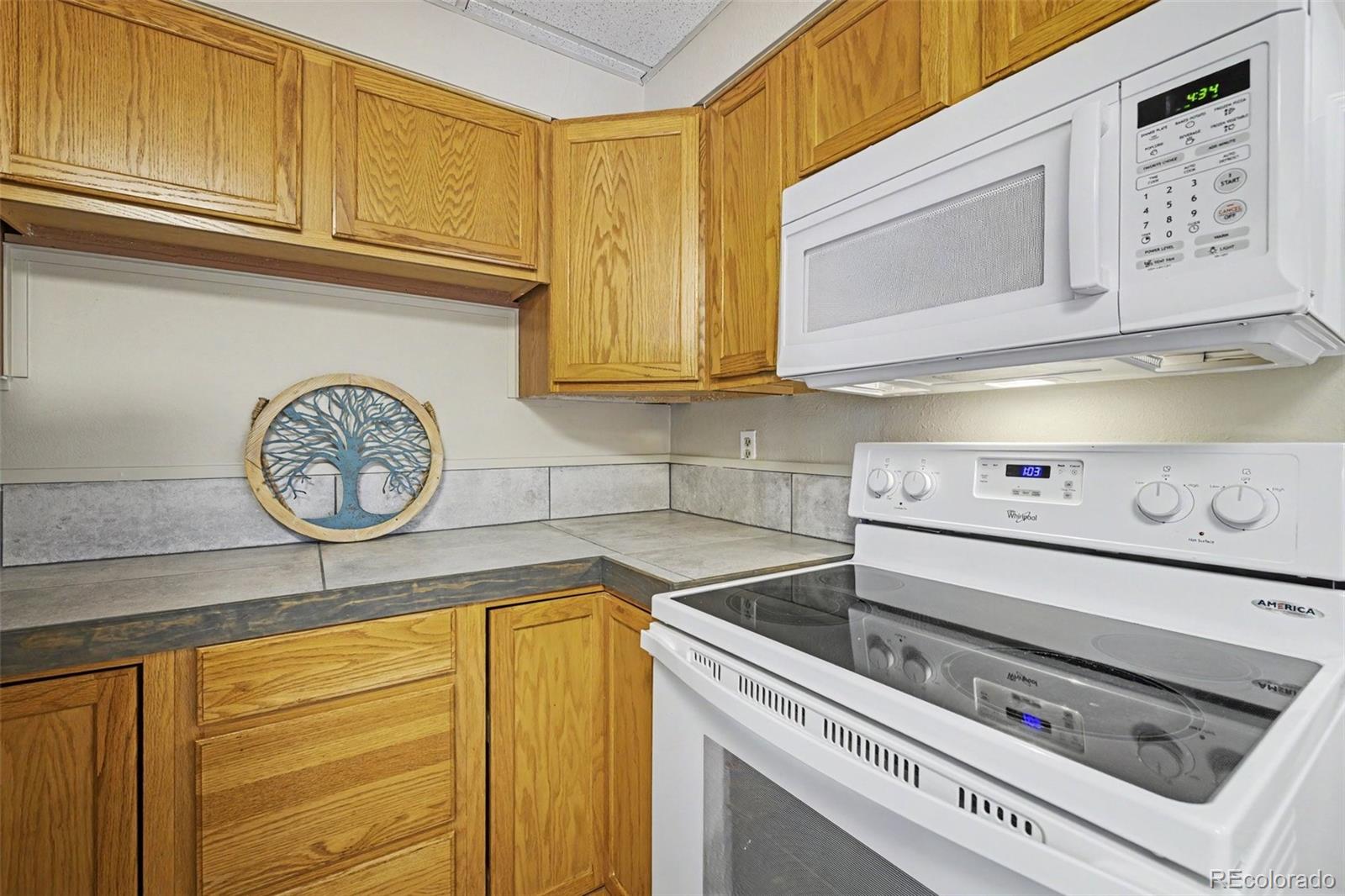 MLS Image #12 for 532  oakwood drive,castle rock, Colorado