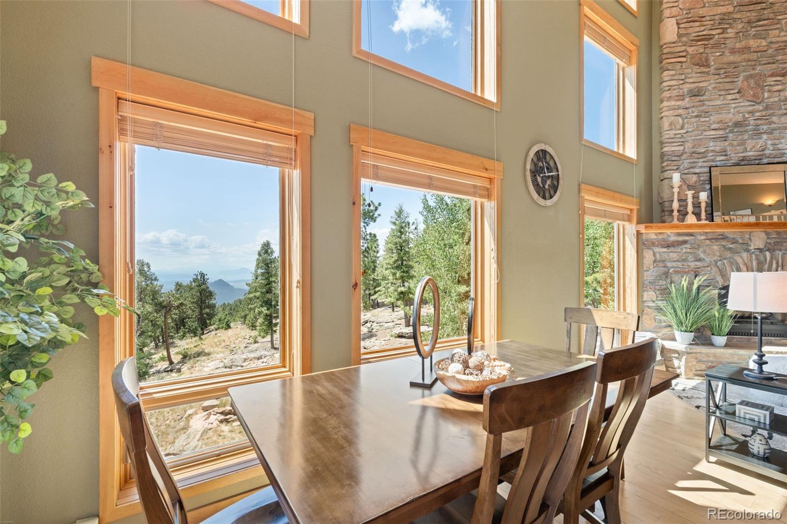 MLS Image #10 for 13432  riley peak road,conifer, Colorado