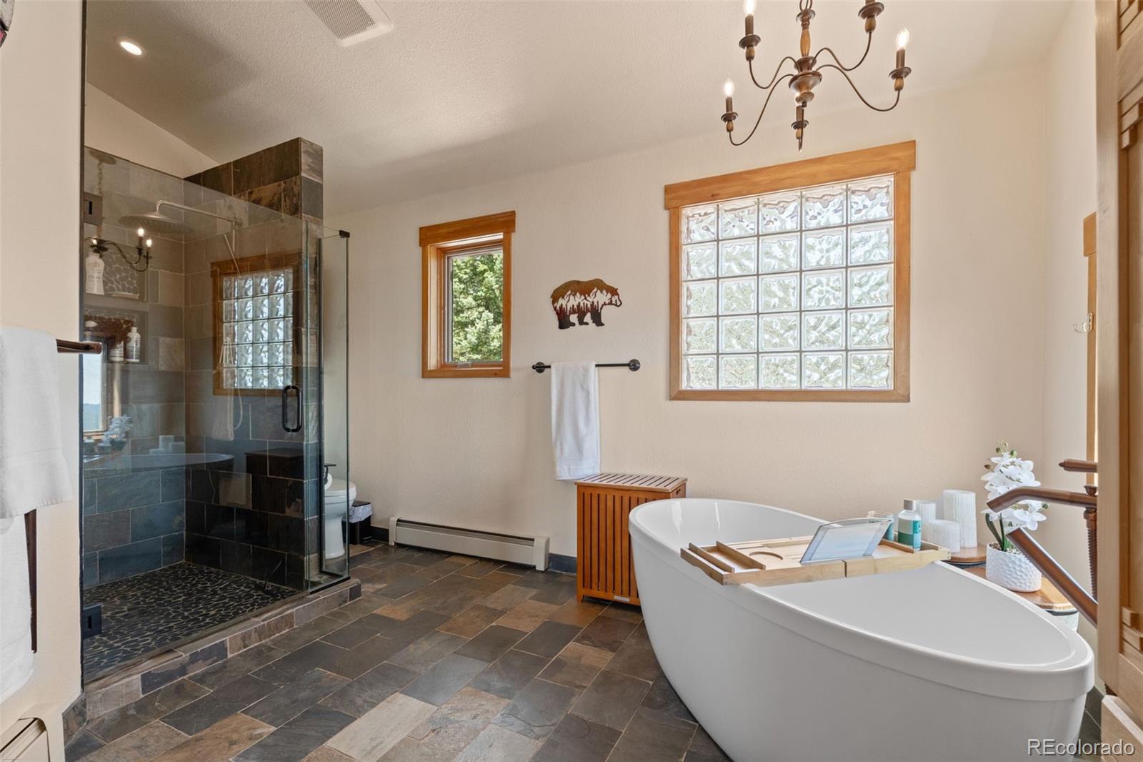 MLS Image #19 for 13432  riley peak road,conifer, Colorado