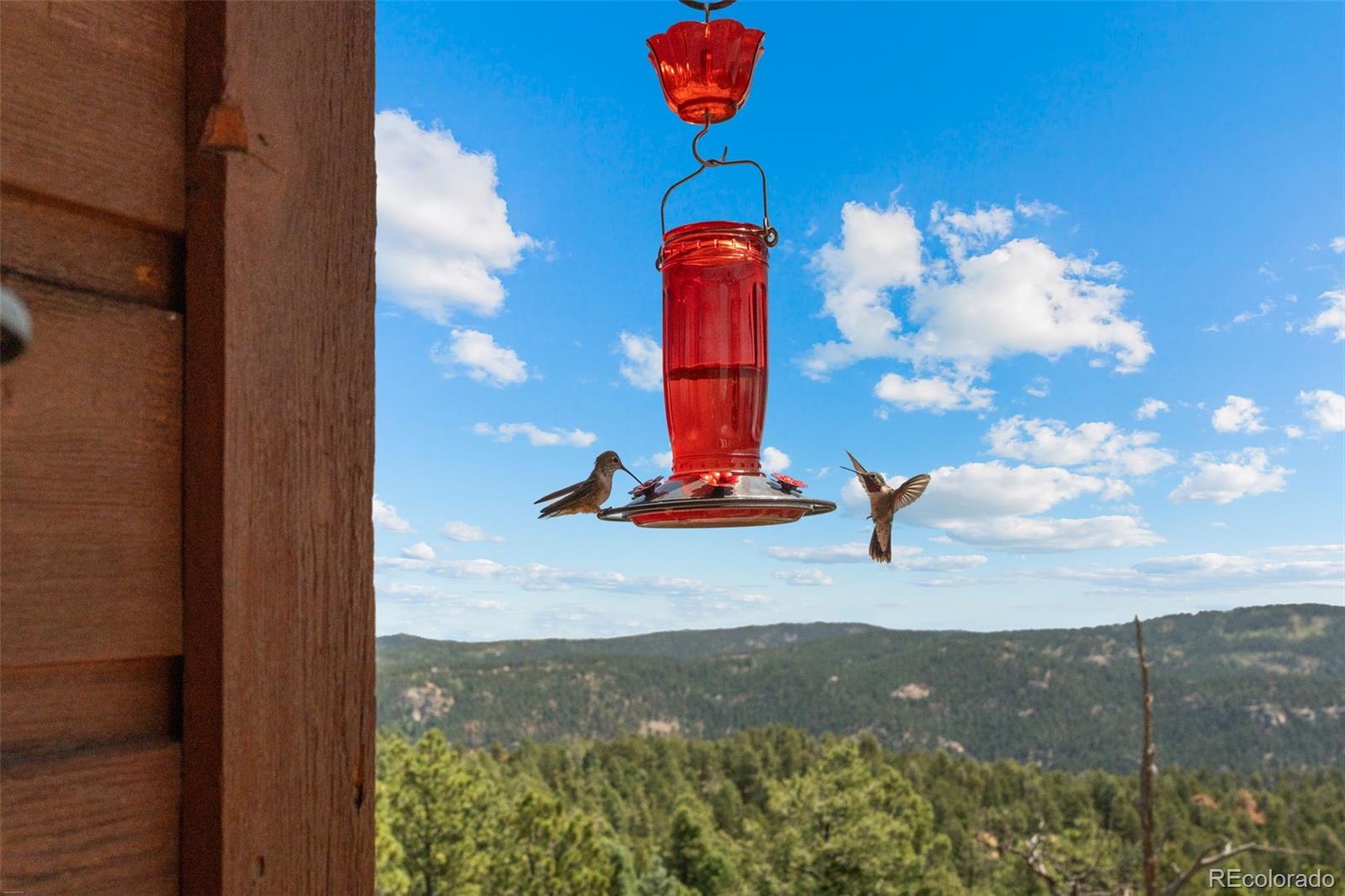 MLS Image #23 for 13432  riley peak road,conifer, Colorado