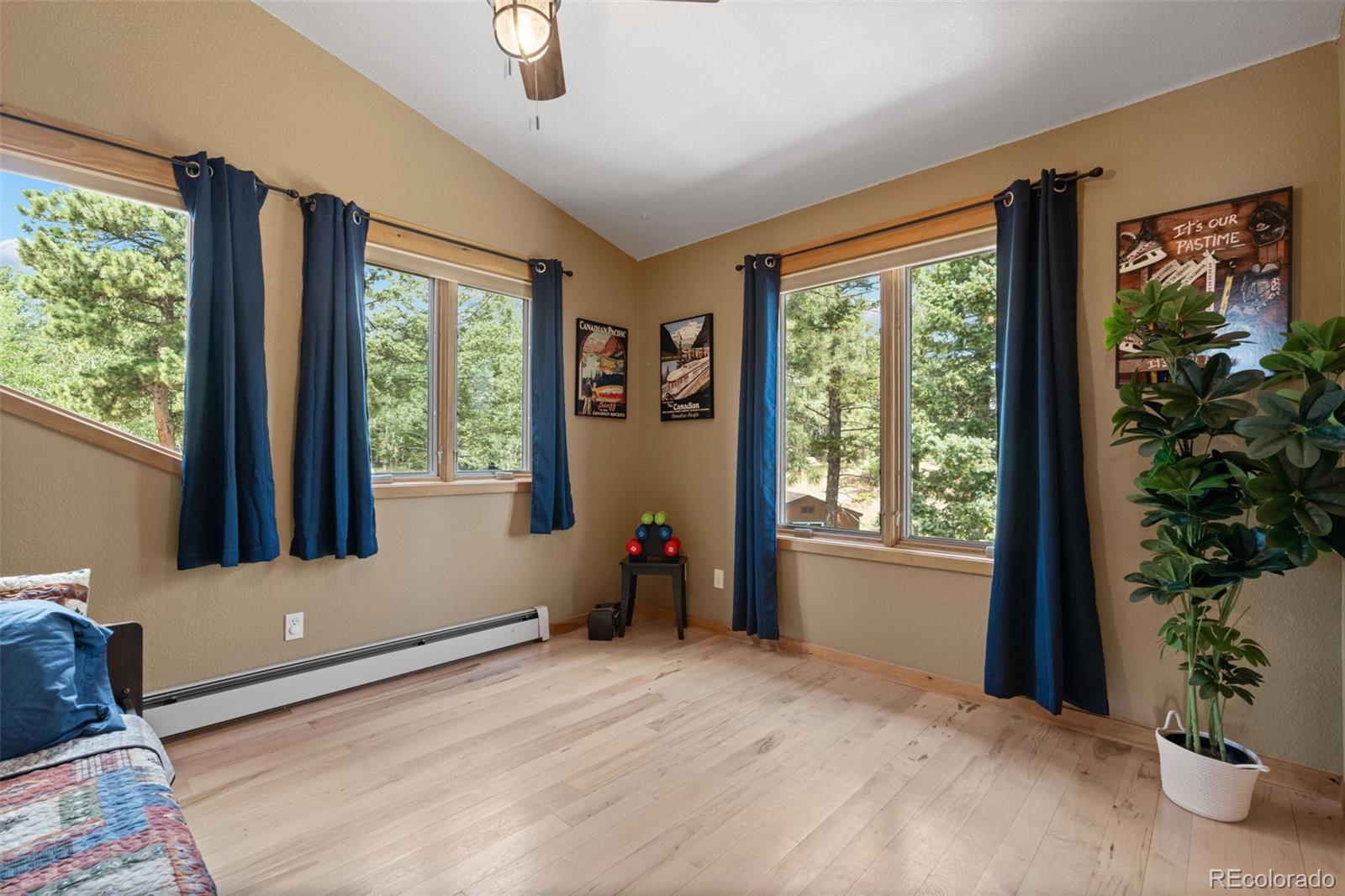 MLS Image #24 for 13432  riley peak road,conifer, Colorado