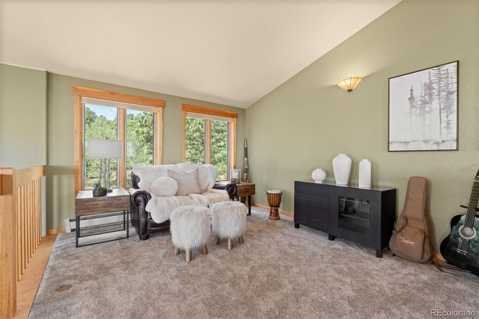 MLS Image #31 for 13432  riley peak road,conifer, Colorado