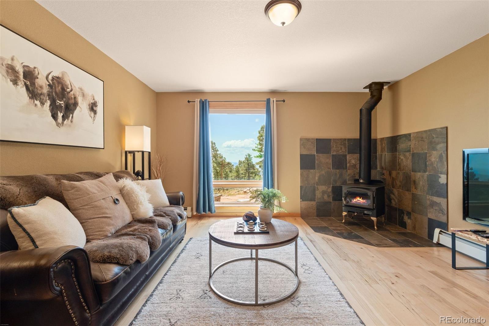 MLS Image #35 for 13432  riley peak road,conifer, Colorado