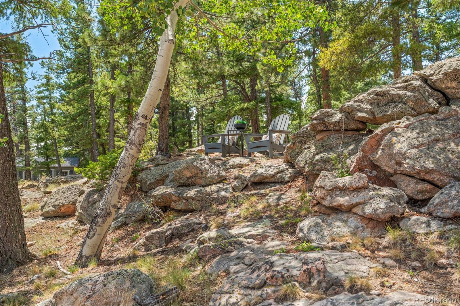 MLS Image #44 for 13432  riley peak road,conifer, Colorado