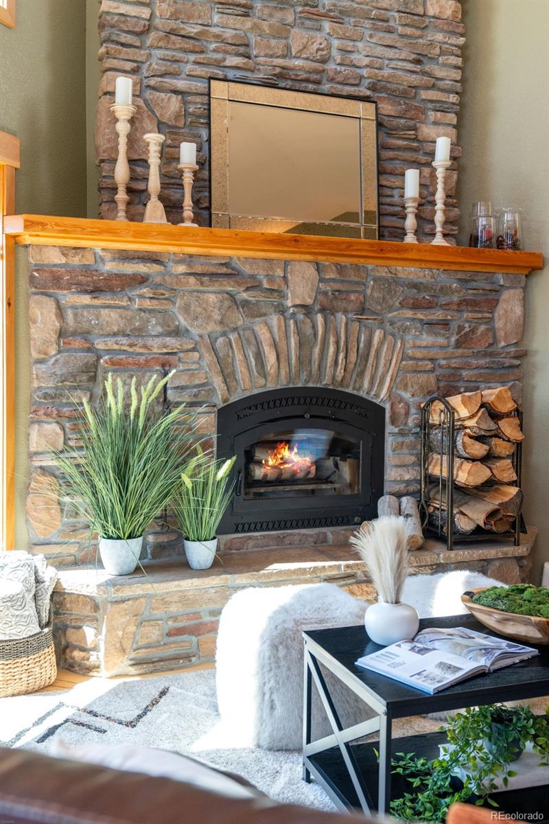 MLS Image #8 for 13432  riley peak road,conifer, Colorado