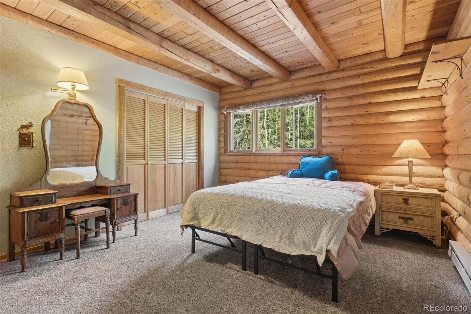 MLS Image #21 for 2667  witter gulch road,evergreen, Colorado