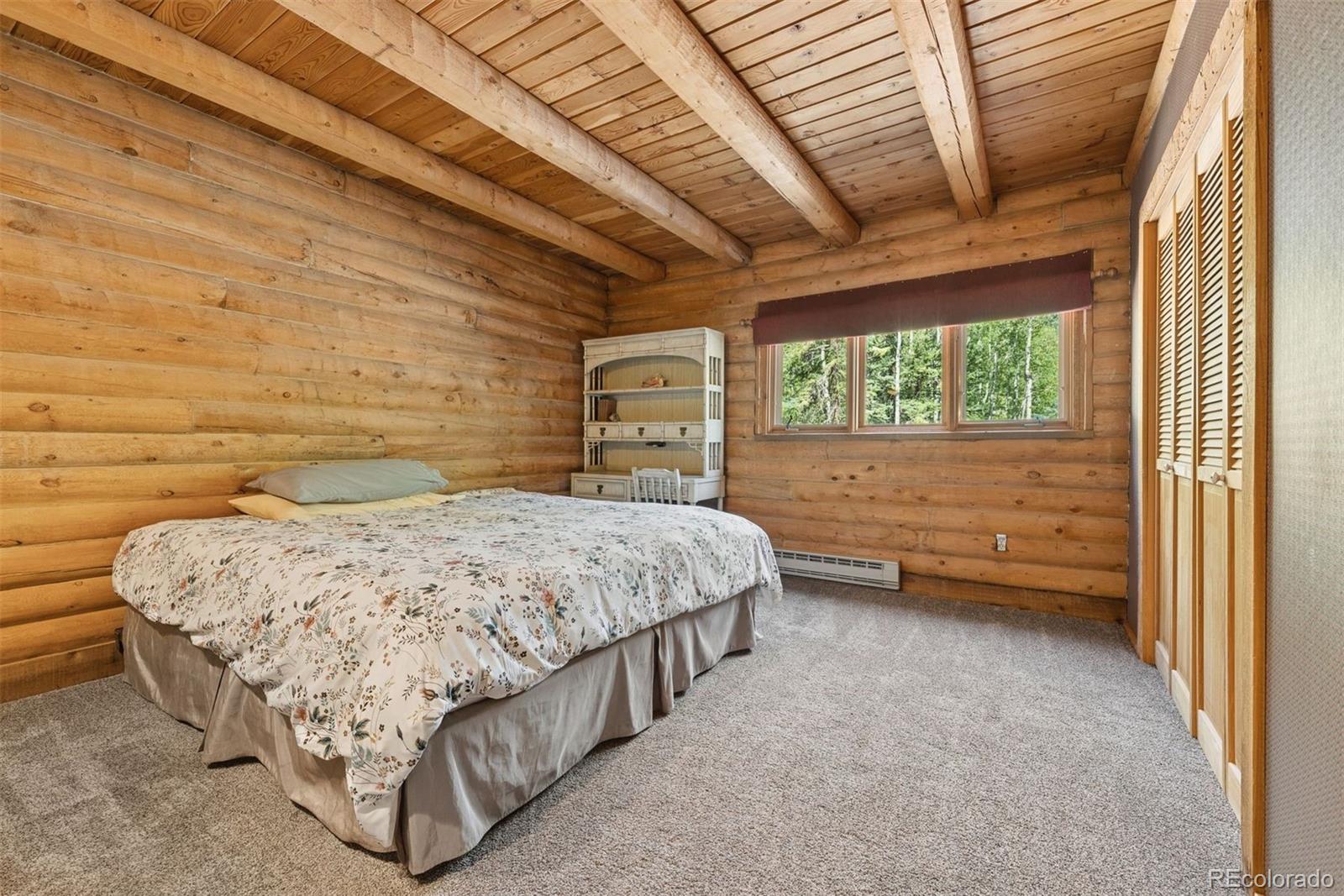MLS Image #23 for 2667  witter gulch road,evergreen, Colorado