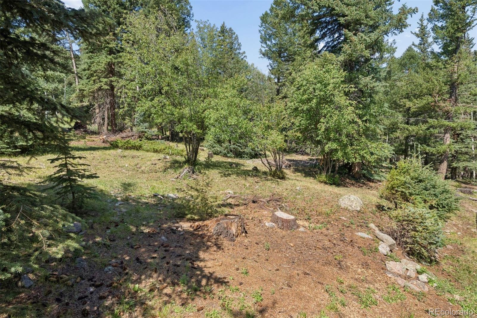 MLS Image #36 for 2667  witter gulch road,evergreen, Colorado