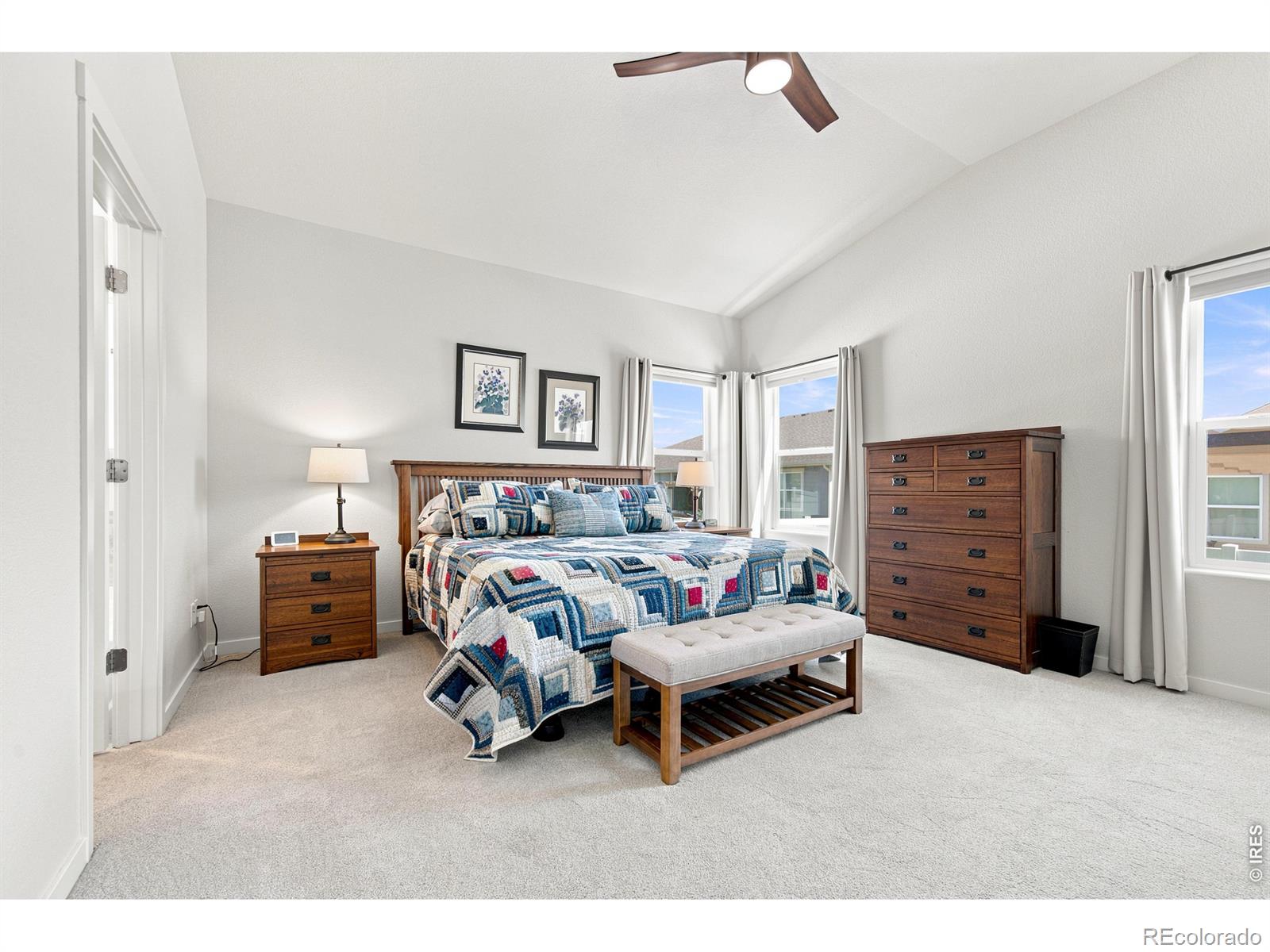 MLS Image #23 for 867  sunlight peak drive,severance, Colorado