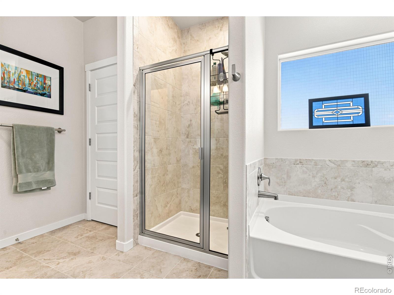 MLS Image #29 for 867  sunlight peak drive,severance, Colorado