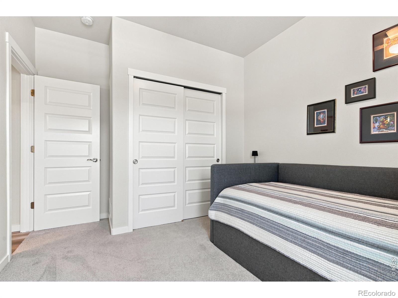 MLS Image #8 for 867  sunlight peak drive,severance, Colorado
