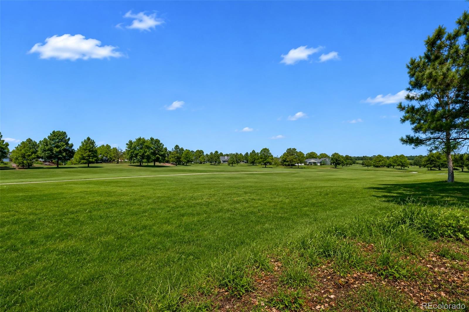 MLS Image #46 for 15  tamerlain court,littleton, Colorado