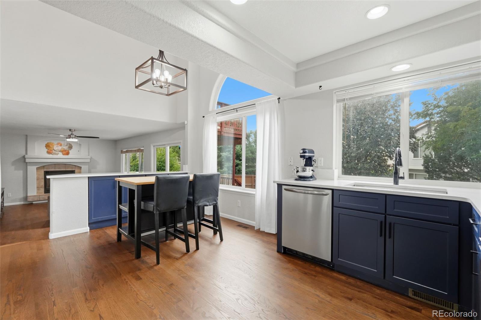 MLS Image #11 for 9151  roadrunner street,littleton, Colorado