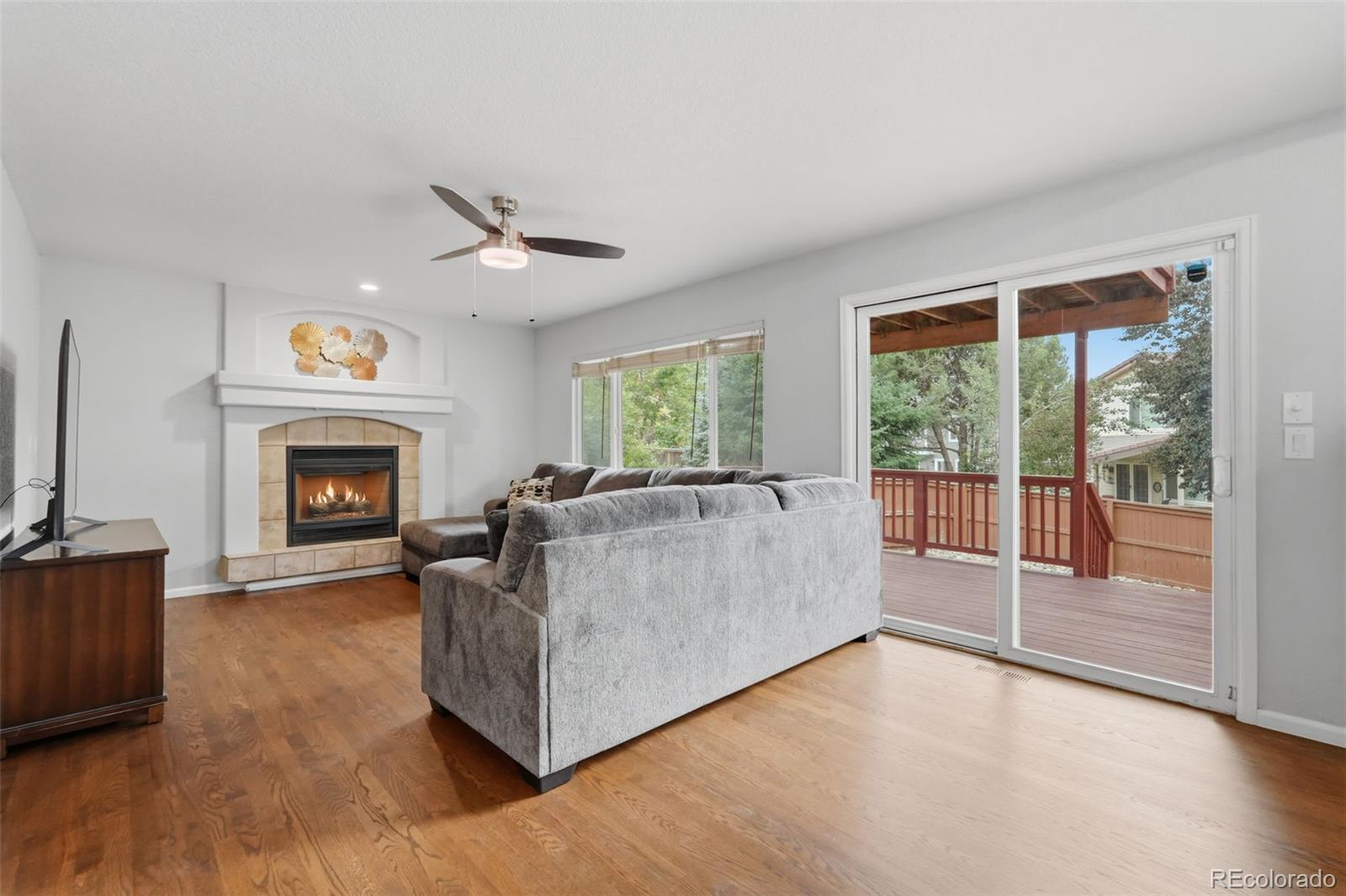 MLS Image #12 for 9151  roadrunner street,littleton, Colorado