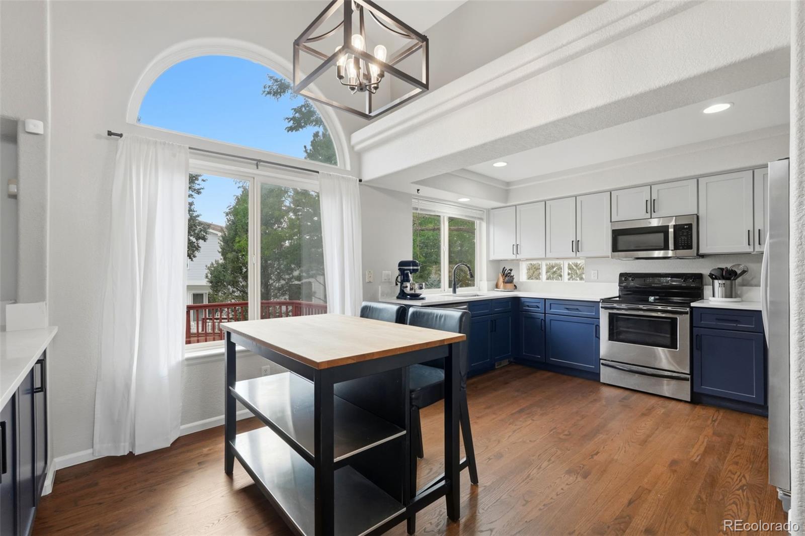 MLS Image #6 for 9151  roadrunner street,littleton, Colorado