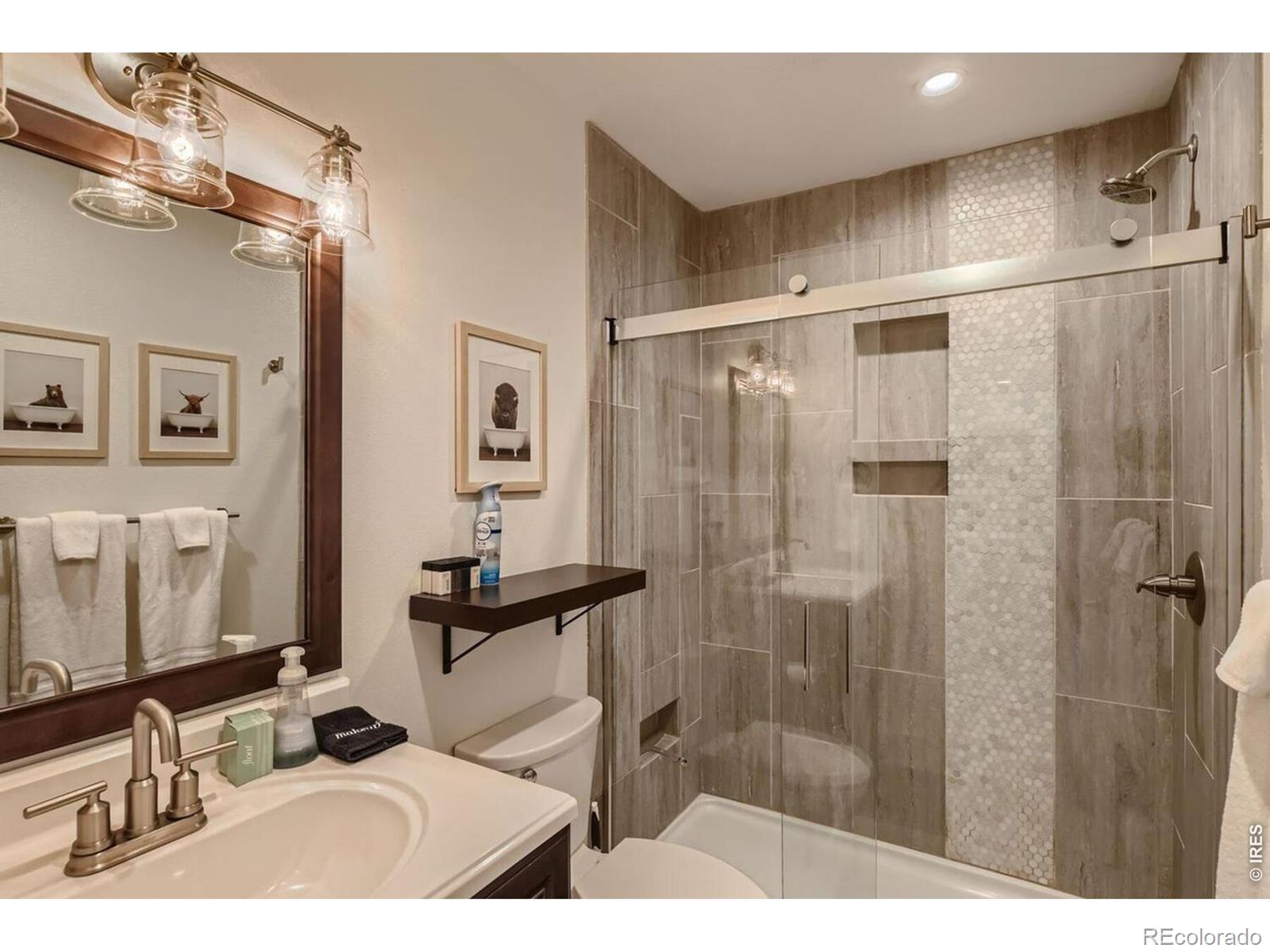 MLS Image #22 for 216  pitkin street,frisco, Colorado