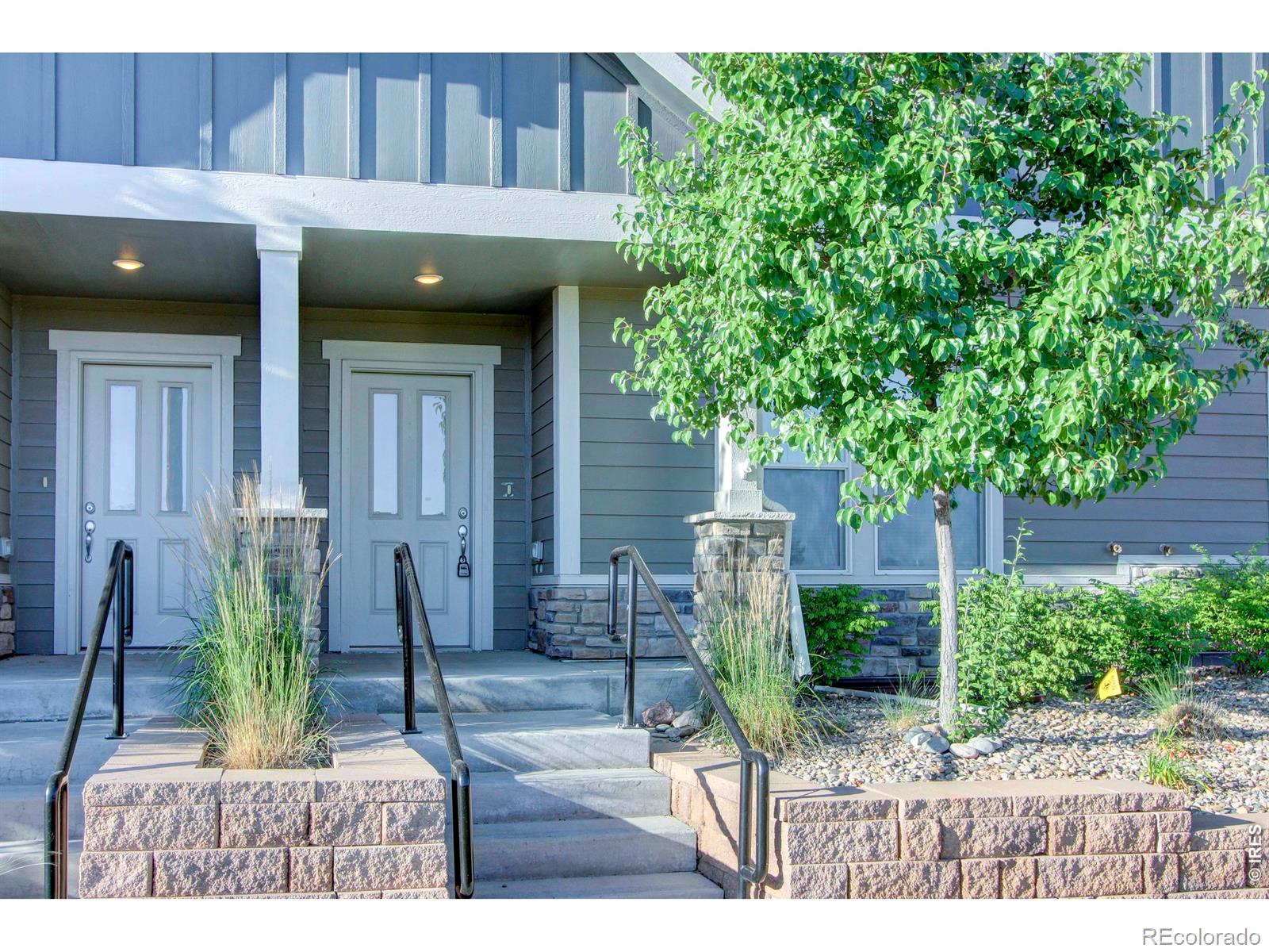 MLS Image #1 for 3027  knolls end drive,fort collins, Colorado
