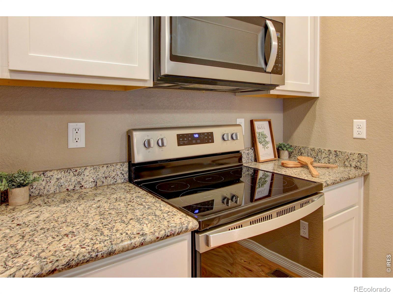 MLS Image #11 for 3027  knolls end drive,fort collins, Colorado