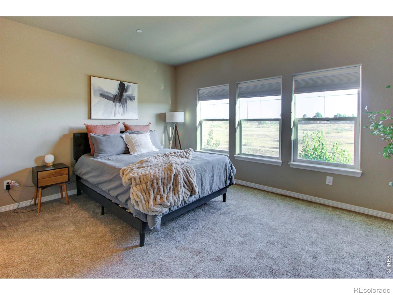 MLS Image #16 for 3027  knolls end drive,fort collins, Colorado