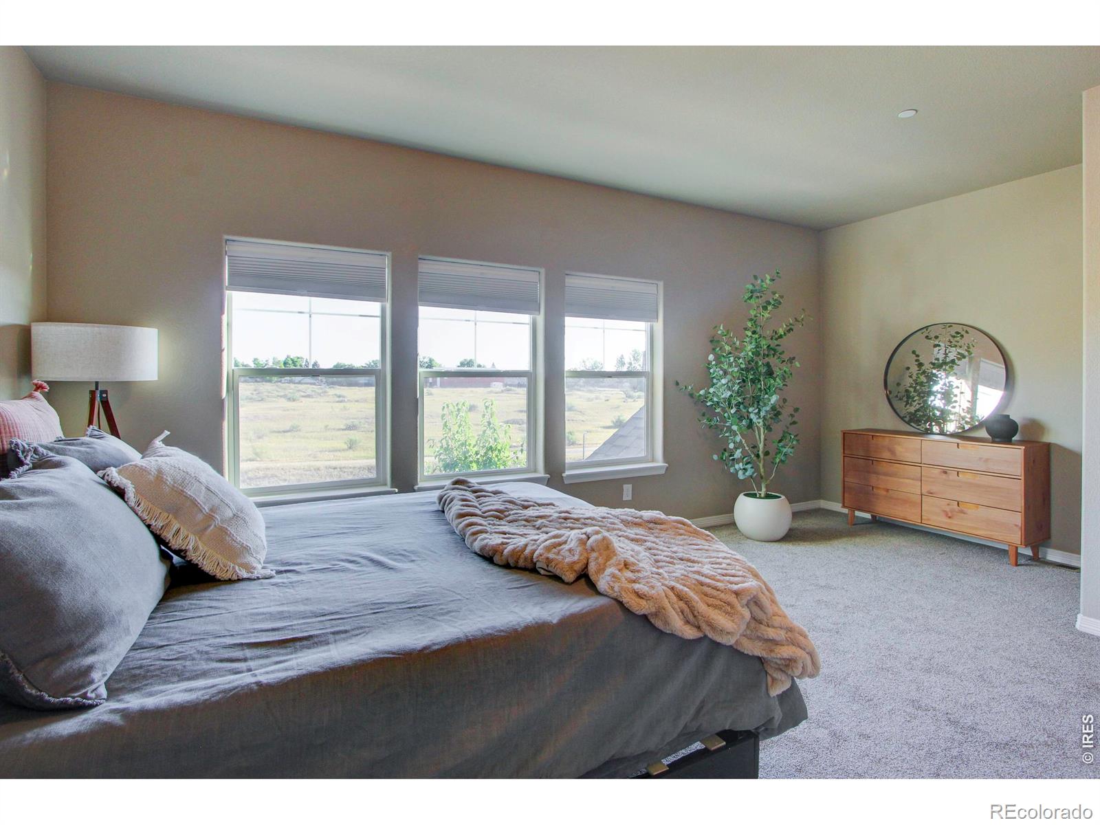 MLS Image #17 for 3027  knolls end drive,fort collins, Colorado