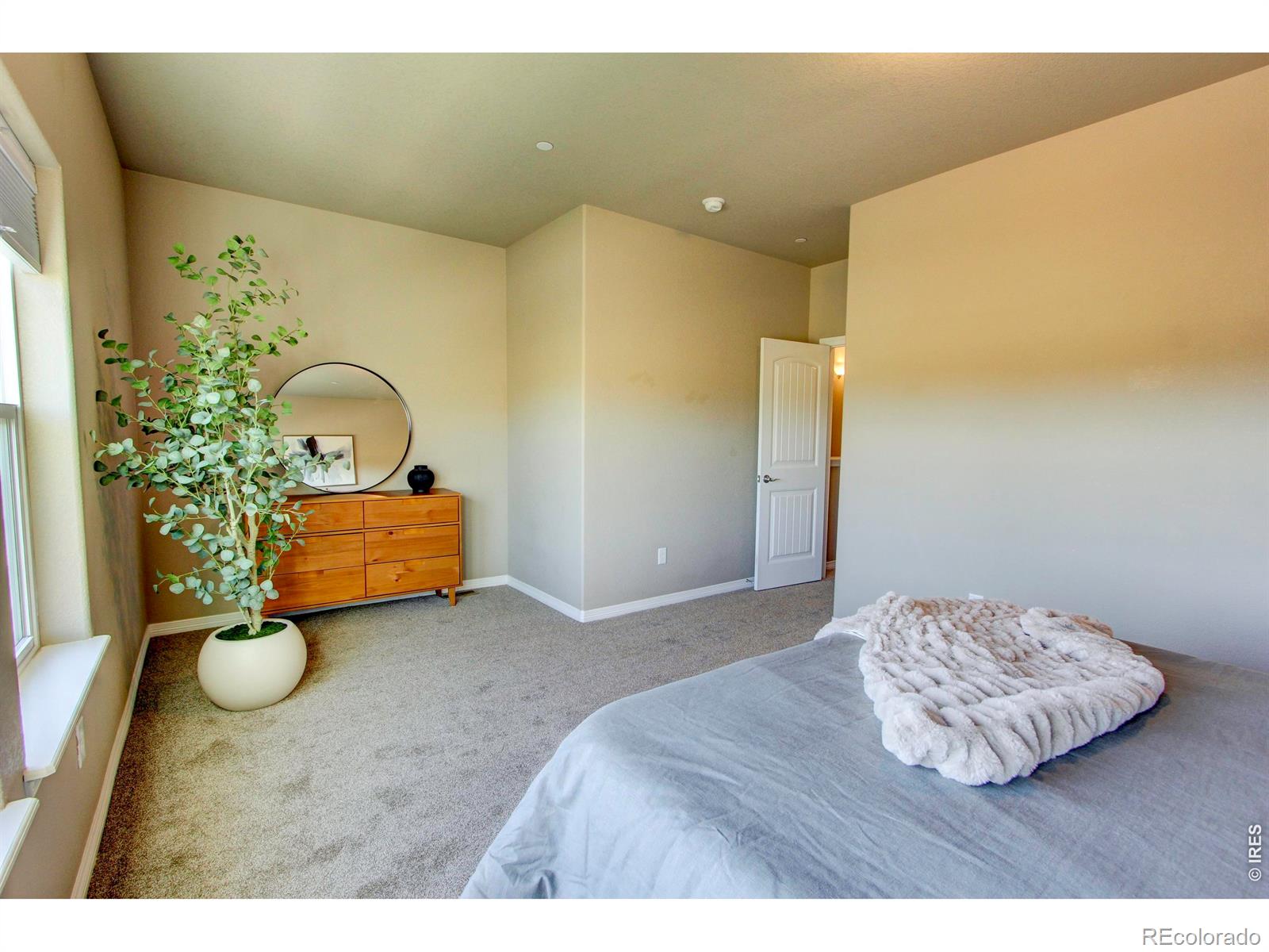MLS Image #18 for 3027  knolls end drive,fort collins, Colorado