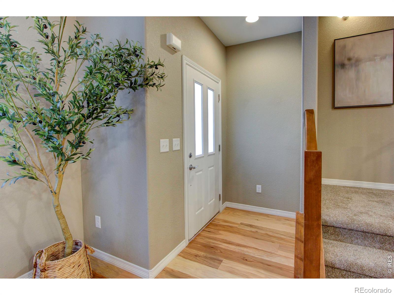MLS Image #2 for 3027  knolls end drive,fort collins, Colorado