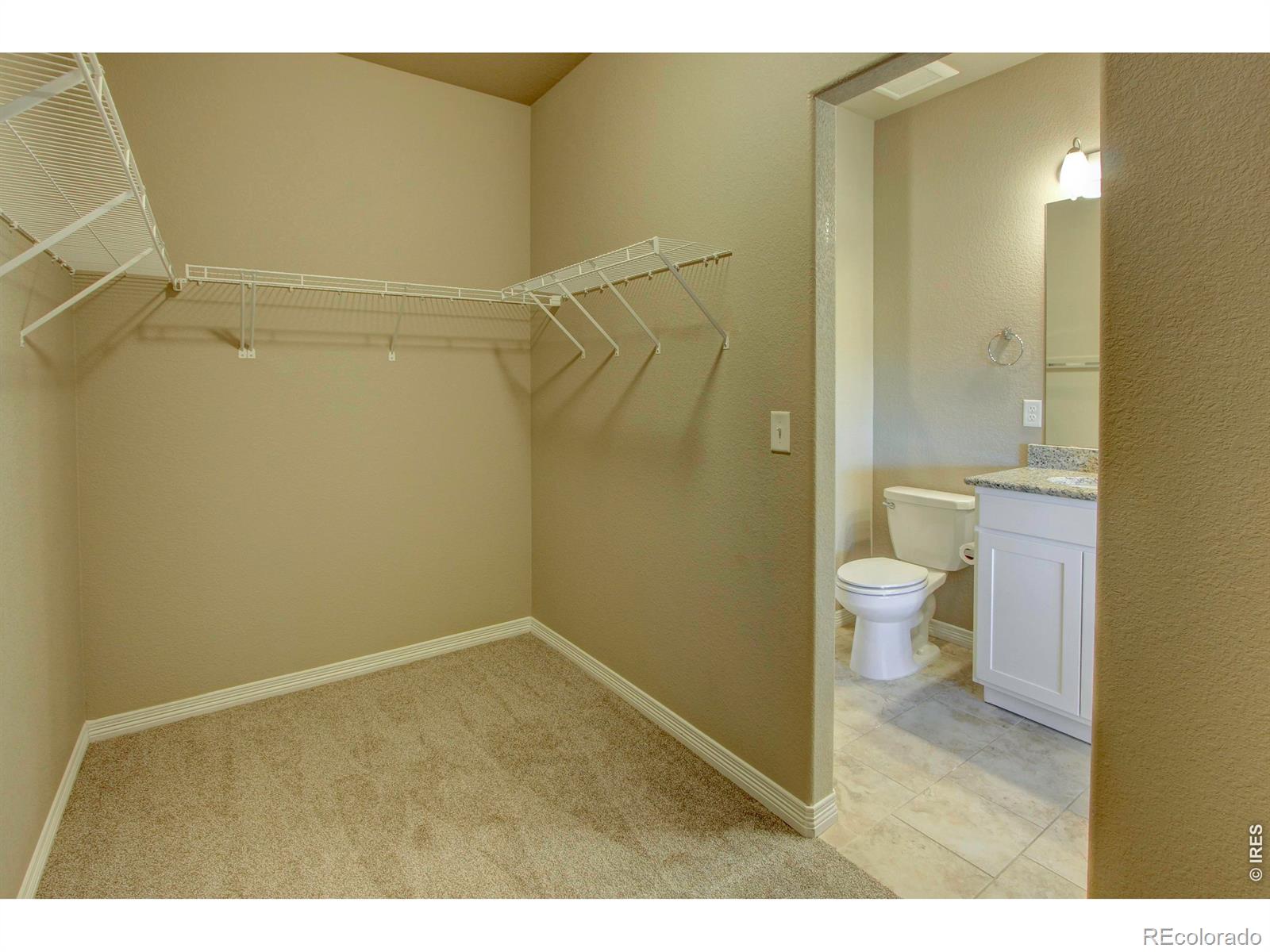 MLS Image #20 for 3027  knolls end drive,fort collins, Colorado