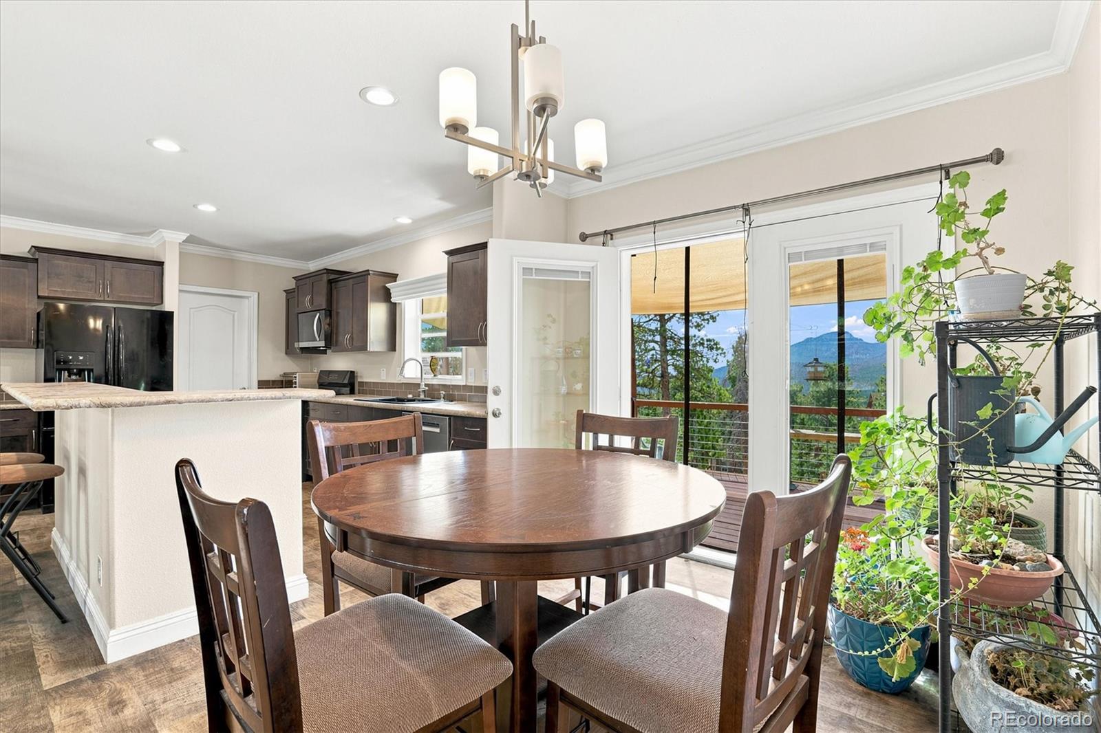 MLS Image #10 for 11754  vonnie claire road,golden, Colorado