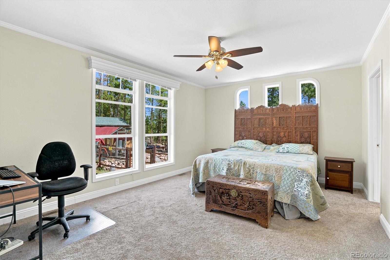 MLS Image #15 for 11754  vonnie claire road,golden, Colorado