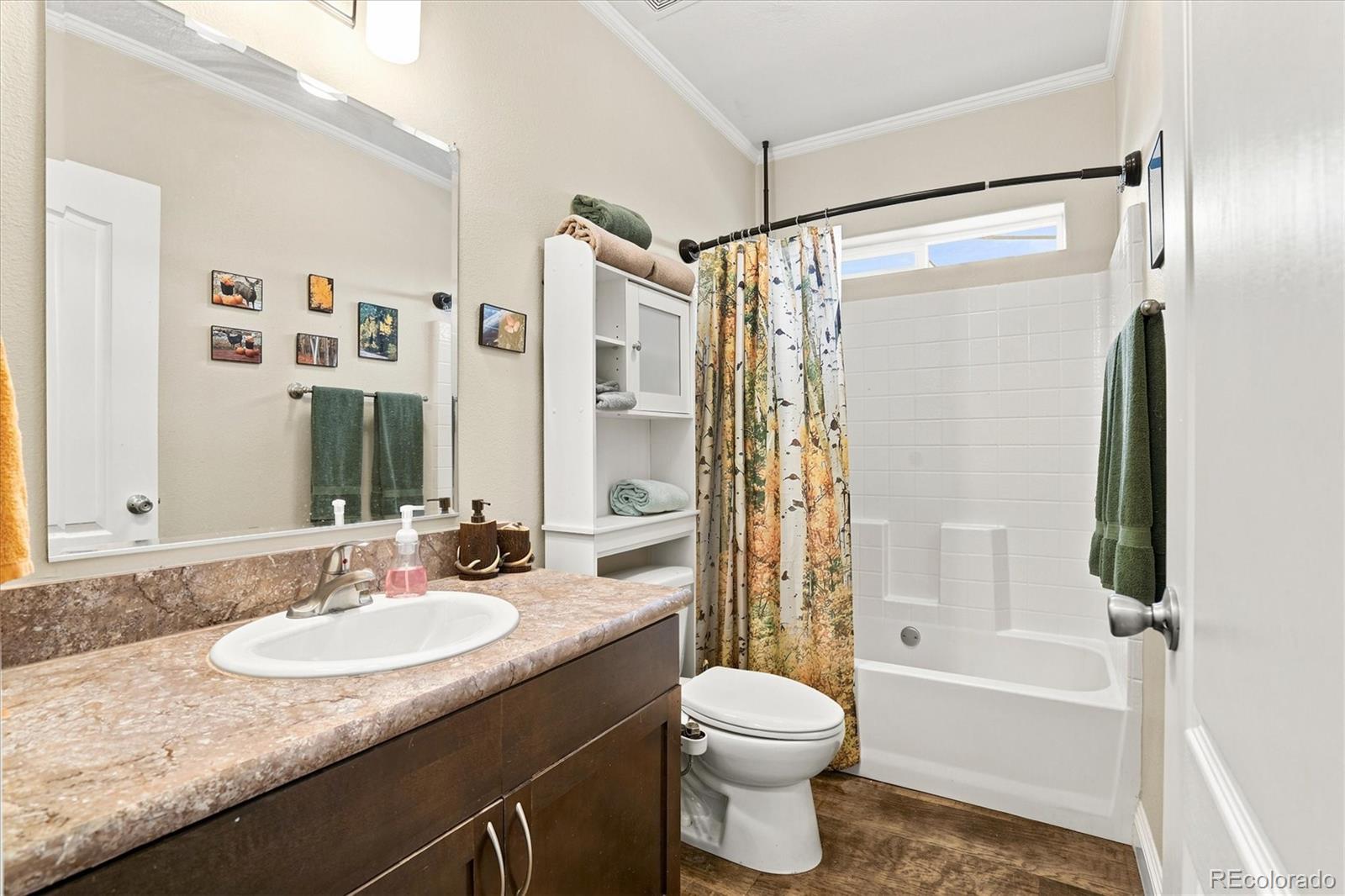 MLS Image #19 for 11754  vonnie claire road,golden, Colorado