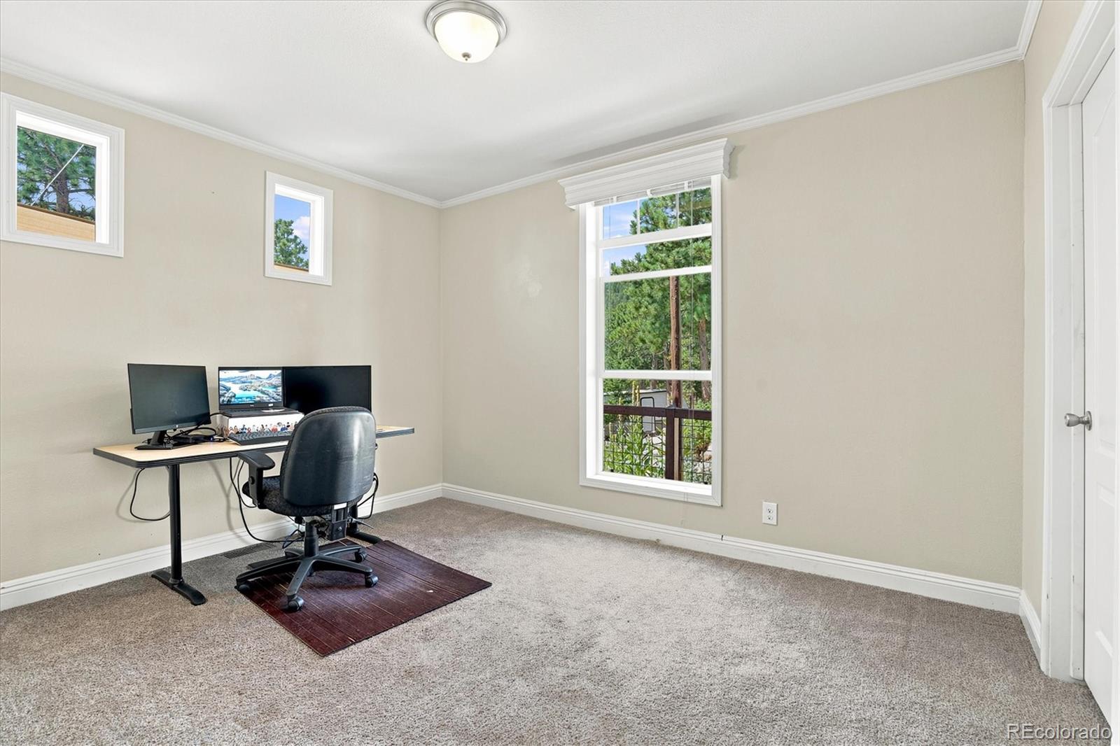 MLS Image #20 for 11754  vonnie claire road,golden, Colorado