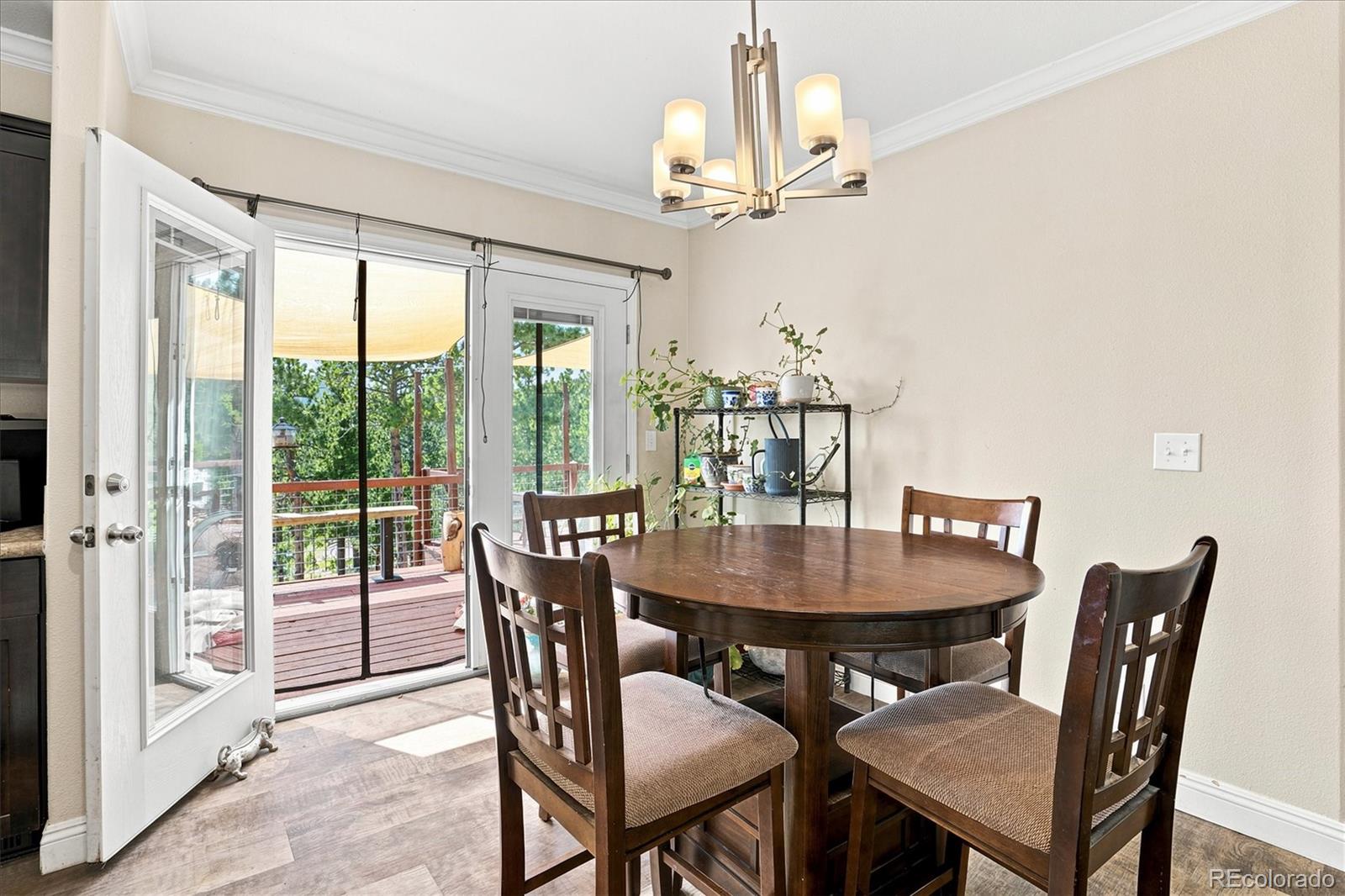 MLS Image #9 for 11754  vonnie claire road,golden, Colorado